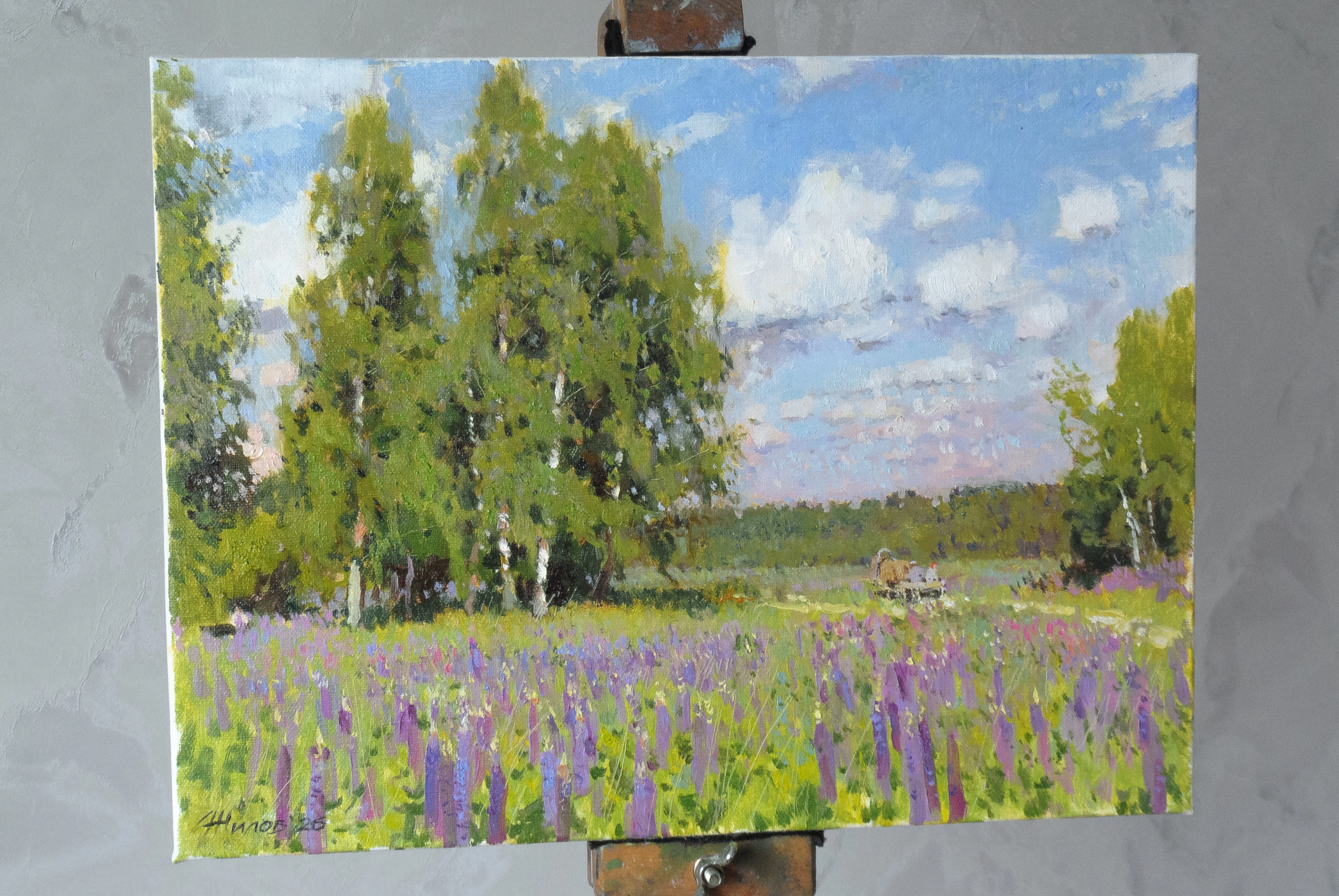 Картина  Березы. Люпины. Лето художника Жилов Андрей