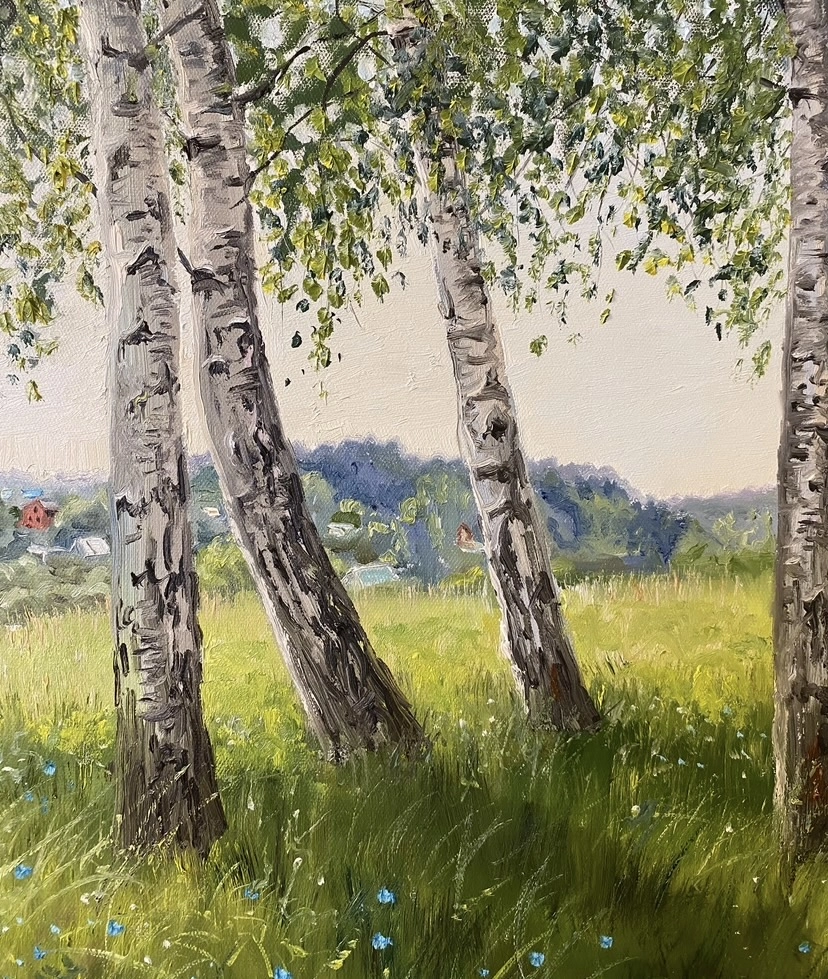 Картина Масло Березки у с.Горы художника Тикунова Ольга