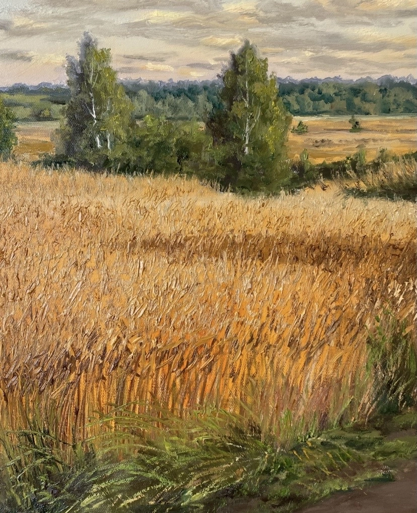 Картина Масло Рожь поспела художника Тикунова Ольга
