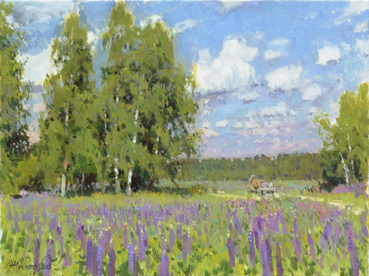 Картина  Березы. Люпины. Лето художника Жилов Андрей