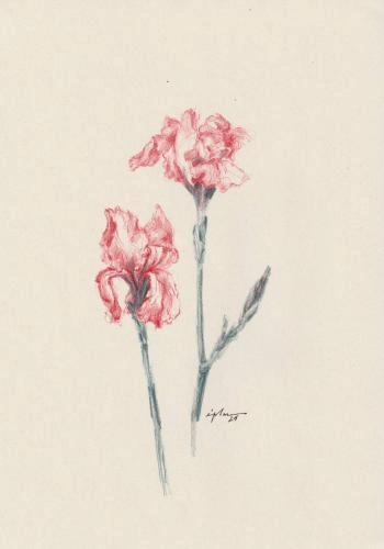 Картина Смешанная техника fleur 05 художника Зарецкая Виктория (embrassé par la muse)