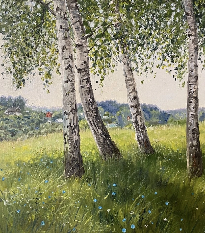 Картина Масло Березки у с.Горы художника Тикунова Ольга
