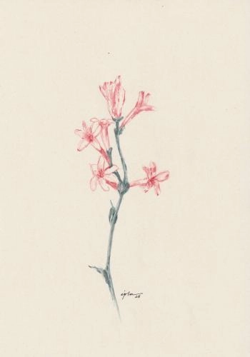 Картина Смешанная техника fleur 06 художника Зарецкая Виктория (embrassé par la muse)