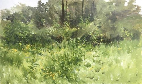 Картина Масло Солнечный уголок леса. Лютики художника Машин Игорь