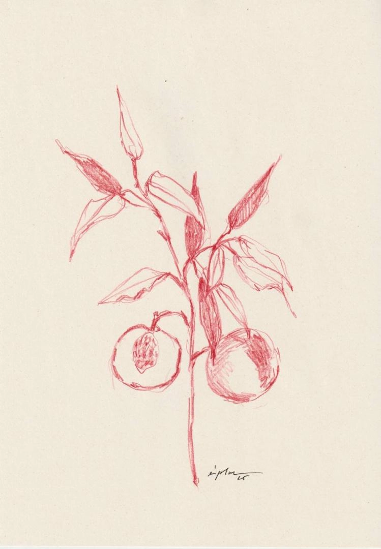 Картина Смешанная техника abricots художника Зарецкая Виктория (embrassé par la muse)