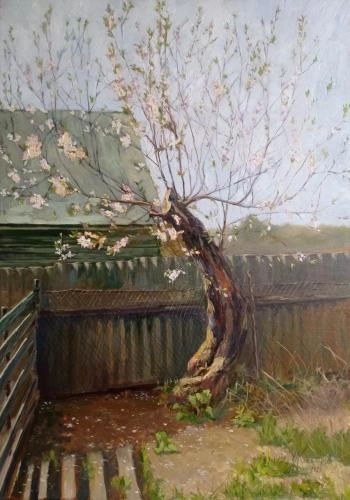Картина Масло Сила жизни. Цветущий урюк.  художника Максим  Калашников